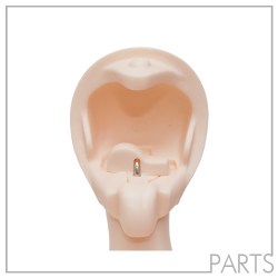 FeePle65 (New Release)-Face Connector